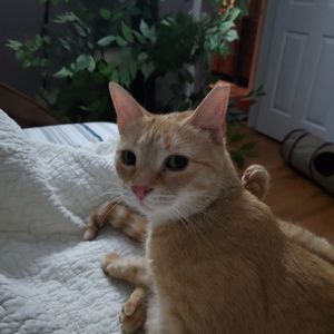 Meet your Posher, Elizabeth